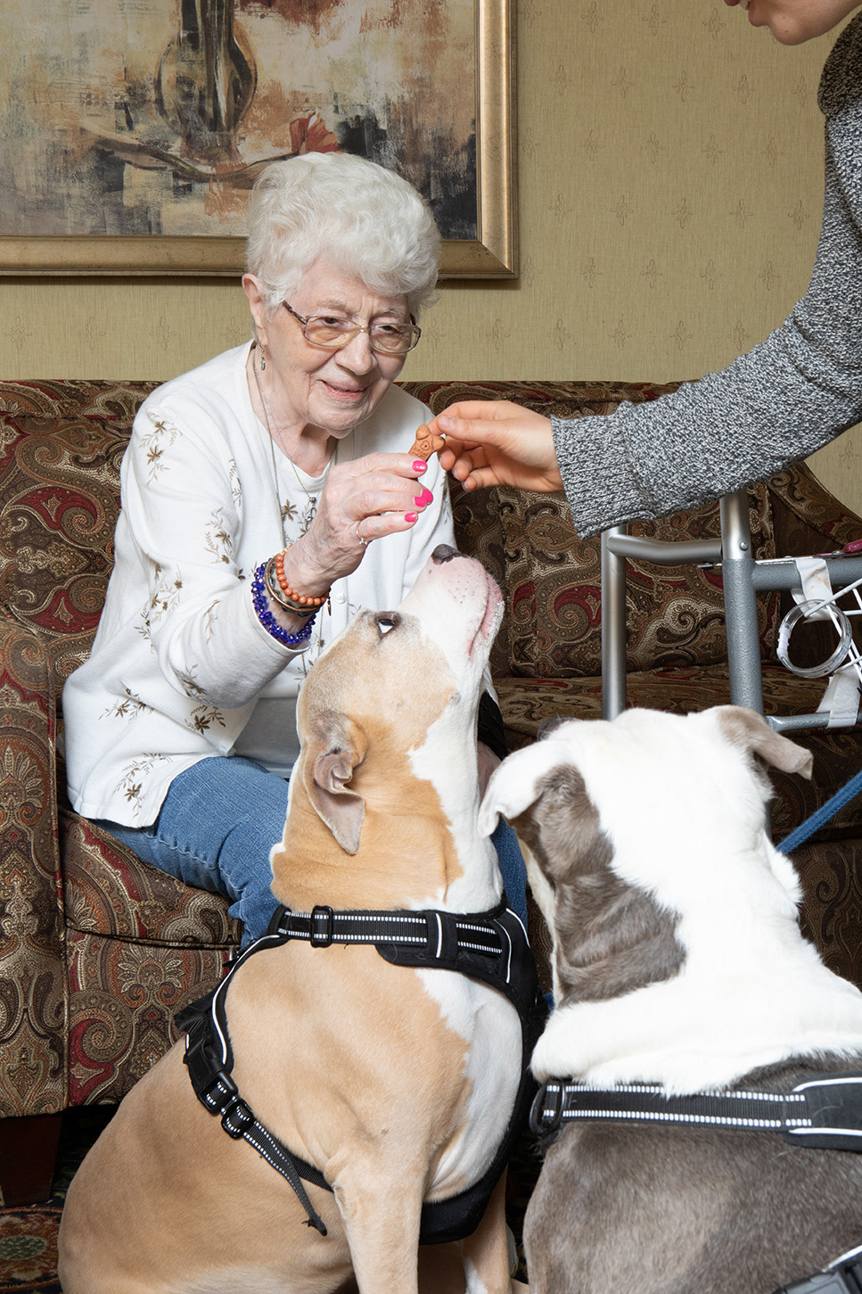 Female senior patient playing with two dogs.